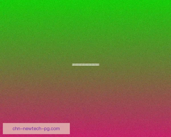 十字军东征巡逻路线探索及其战略意义研究